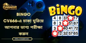 Bingo - CV666-এ চাকা ঘুরিয়ে আপনার ভাগ্য পরীক্ষা করুন
