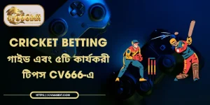 Cricket Betting | গাইড এবং ৫টি কার্যকরী টিপস CV666-এ