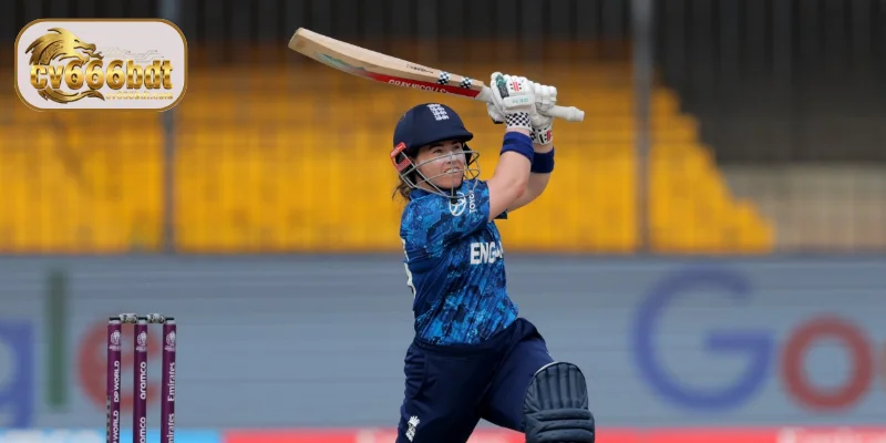 ক্রিকেট বেটিং,  Sports Betting CV666 পণ্য