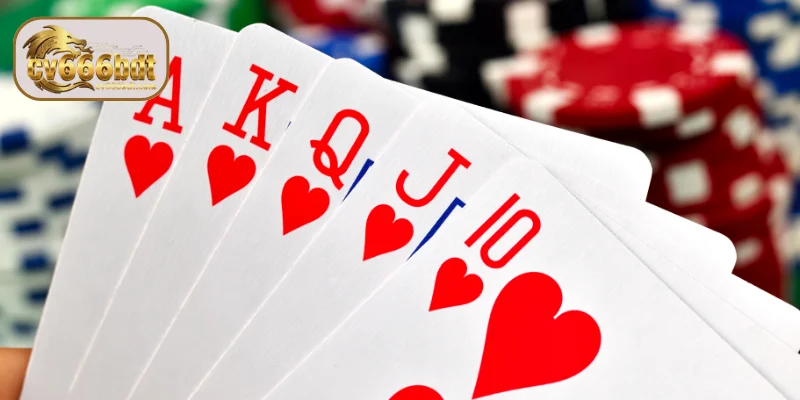 শীর্ষস্থানীয় অনলাইন Card Game নির্মাতা প্রতিষ্ঠান