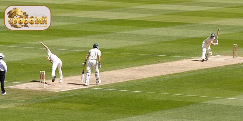সংক্ষিপ্ত বিবরণ Cricket Betting CV666